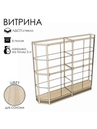 Витрина ТР3н, 2000×500×2000, ЛДСП, стекло, цвет дуб сонома - Фото 4