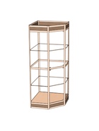 Витрина 07фн, 700×700×2120, ЛДСП, стекло, цвет дуб сонома - Фото 3