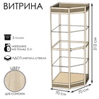 цвет бук светлый