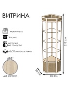 Витрина 05фп, 500×500×2120, ЛДСП, стекло, цвет дуб сонома - Фото 2