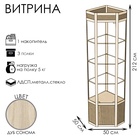 цвет бук светлый