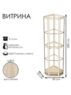 Витрина 05н, 500×500×2000, ЛДСП, стекло, цвет дуб сонома 9529327