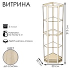 Витрина 05 фн, 500×500×2120, ЛДСП, стекло, цвет дуб сонома 9529331