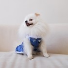 Платье для собак кулирка, XS (ДС 24, ОШ 32-36, ОГ 34-38), Синее - Фото 7
