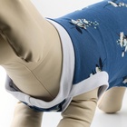 Платье для собак кулирка, XS (ДС 24, ОШ 32-36, ОГ 34-38), Синее - фото 22069021