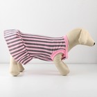 Платье для собак кулирка, XS (ДС 24, ОШ 32-36, ОГ 34-38), Розовое с серыми полосками - фото 9273215