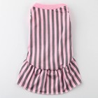 Платье для собак кулирка, XS (ДС 24, ОШ 32-36, ОГ 34-38), Розовое с серыми полосками - фото 9273220
