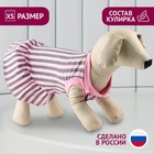 Платье для собак кулирка, XS (ДС 24, ОШ 32-36, ОГ 34-38), Розовое с серыми полосками - фото 297305684