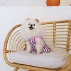 Платье для собак кулирка, XS (ДС 24, ОШ 32-36, ОГ 34-38), Розовое с серыми полосками - фото 9273217