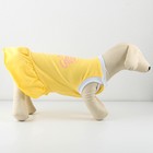 Платье для собак кулирка, XS (ДС 24, ОШ 32-36, ОГ 34-38), Желтое - фото 9273223