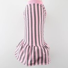 Платье для собак кулирка, S (ДС 27, ОШ 32-36, ОГ 38-42), Розовое с серыми полосками - фото 9273247
