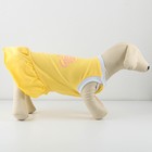Платье для собак кулирка, S (ДС 27, ОШ 32-36, ОГ 38-42), Желтое - Фото 3
