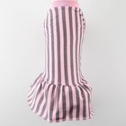 Платье для собак кулирка, М (ДС 30, ОШ 34-38, ОГ 40-44), Розовое с серыми полосками - фото 9273276