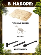 Раскопки «Время динозавров» - Фото 3
