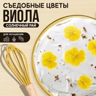 Цветы съедобные KONFINETTA «Виола жёлтая» для капкейков, тортов и напитков, 5 шт. - фото 319743557