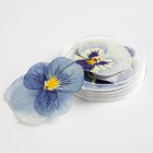 Цветы съедобные «Виола светло-голубая» для капкейков, тортов и напитков, 5 шт. - Фото 3