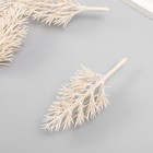 Декор для создания миниатюр (деревья) "Ствол дерева" 11,6х5,5 см (комплект 4 шт) - фото 22805770