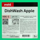 Средство для мытья посуды Profit DishWash Apple с ароматом яблока, 5 л - Фото 3