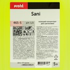 Средство для сантехники Profit Sani, концентрат, 5 л 9502115 - фото 319863506