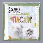 Салфетки бумажные однослойные «Светлой Пасхи. Кролик», 24 × 24 см, в наборе 20 шт. 9527354