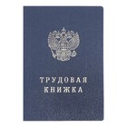 Трудовая книжка без голограммы ( коробка 250шт) 9545930 - фото 10322148