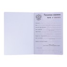 Трудовая книжка без голограммы ( коробка 250шт) (комплект 250 шт) - фото 28483149
