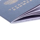 Трудовая книжка без голограммы ( коробка 250шт) (комплект 250 шт) - фото 28483151