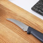 Нож кухонный Tramontina Plenus, для овощей, лезвие 7,5 см, цвет серый - Фото 3