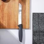 Нож кухонный Tramontina Plenus, для овощей, лезвие 17,5 см, цвет серый - фото 319319916