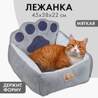 Лежанка «Лапка», 45х38х22 см - Фото 1