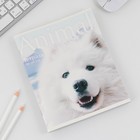 Тетрадь в клетку, 96 листов А5 на скрепке, «1 сентября: Animal»,обложка мелованный картон 230 гр., внутренний блок №2, белизна 80 % - фото 24498683