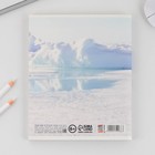 Тетрадь в клетку, 96 листов А5 на скрепке, «1 сентября: Animal»,обложка мелованный картон 230 гр., внутренний блок №2, белизна 80 % - фото 24498685