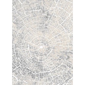 

Ковёр прямоугольный «Визион», размер 250x350 см