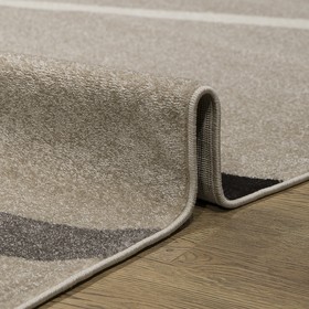 

Ковёр прямоугольный «Фиеста», размер 160x300 см