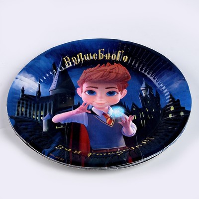 Посуда одноразовая бумажная для праздника «Волшебного дня рождения!», 6 тарелок, 6 стаканов, гирлянда, фокусы