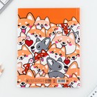 Дневник школьный 1-11 класс универсальный «Обаятельные корги», твердая обложка 7БЦ, глянцевая ламинация, 40 листов - Фото 8