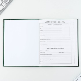 Дневник школьный 1-11 класс универсальный «Зелёный», твердая обложка 7БЦ, глянцевая ламинация, 40 листов