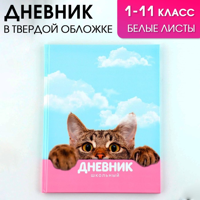 Дневник школьный, универсальный для 1-11 классов «Котик», твердая обложка 7БЦ, глянцевая ламинация, 40 листов.