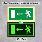 Табличка направление к эвакуационному выходу налево «Фотолюминесцентная основа» 300×150 - фото 9681726