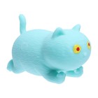 Набор школьника Calligrata, "Котики", 9 предметов - фото 24609344