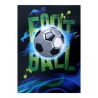 Набор школьника Calligrata, "Футбол", 9 предметов - фото 24985467