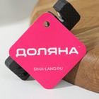 Точилка для ножей Доляна «Ловкач», 2 деления, чёрная - Фото 4