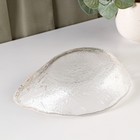 Салатник фигурный «Ракушка», 550 мл, 20.5×15×6 см, стекло 9370258 - фото 319793840