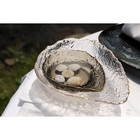 Салатник «Ракушка», 930 мл, 23.5×17.5×7 см, фигурный, стекло, прозрачный - Фото 6