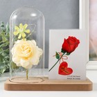 Фоторамка для фото 9×13 см прозрачная настольная светящаяся «Белая роза в колбе», от батареек 2хLR1130, 9.8×19.5×18 см 9335683