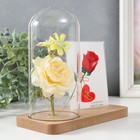 Фоторамка для фото 9×13 см прозрачная настольная светящаяся «Белая роза в колбе», от батареек 2хLR1130, 9.8×19.5×18 см 9335683