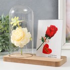 Фоторамка для фото 9×13 см прозрачная настольная светящаяся «Белая роза в колбе», от батареек 2хLR1130, 9.8×19.5×18 см 9335683