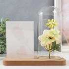 Фоторамка для фото 9×13 см прозрачная настольная светящаяся «Белая роза в колбе», от батареек 2хLR1130, 9.8×19.5×18 см 9335683
