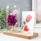 Фоторамка 9х13 см свет "Фиолетовая роза в колбе" от батареек 2хLR1130 9,8х19,5х18 см 9335684