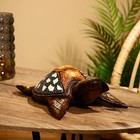 Сувенир "Черепаха" албезия 30х20х6 см - фото 319324032